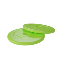 PVC Disc 2.5Kg - 28 mm