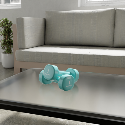 DV1 Vinyl Weights - 2 pcs x 1 Kg