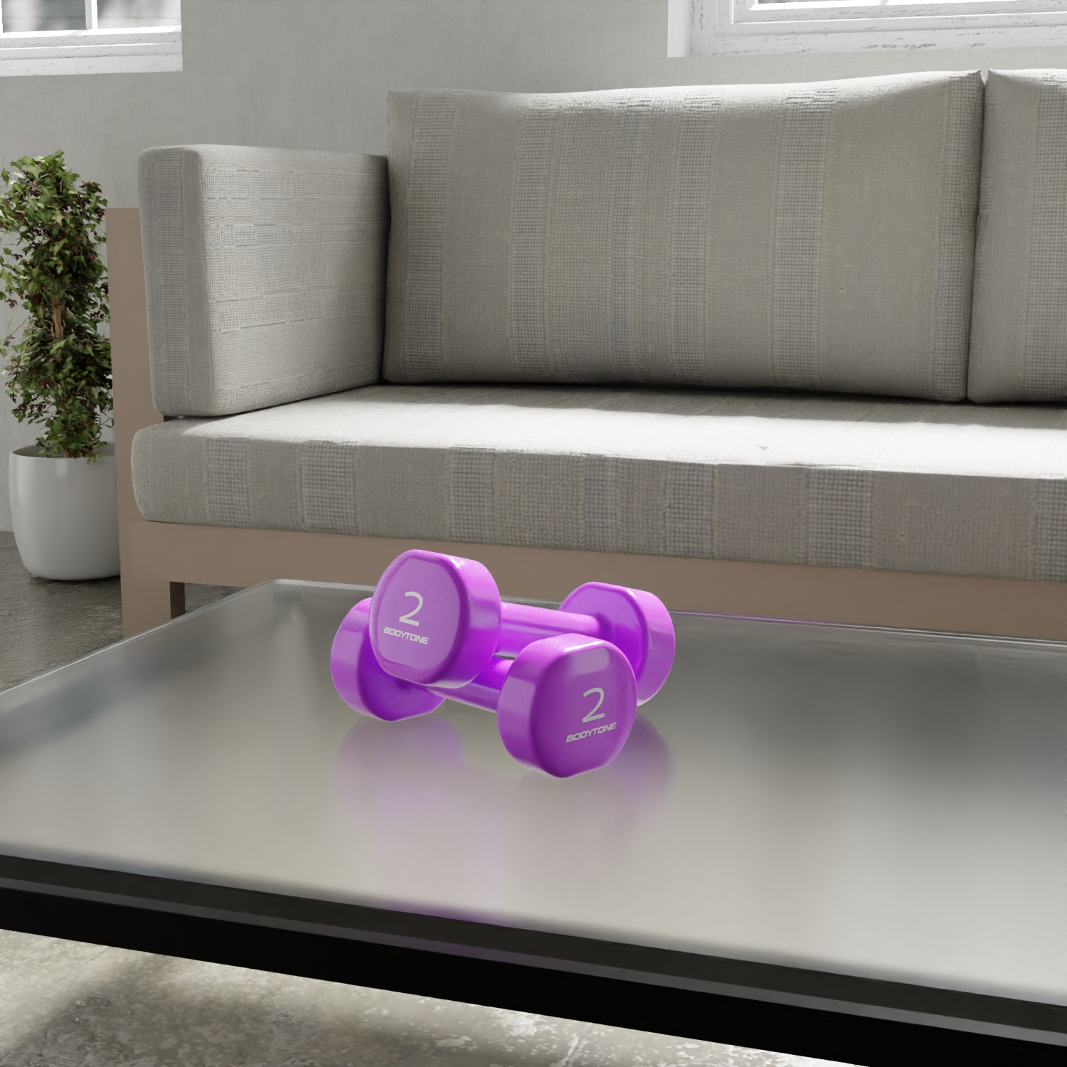 Pesas de vinilo DV2 - 2 ud. x 2 Kg