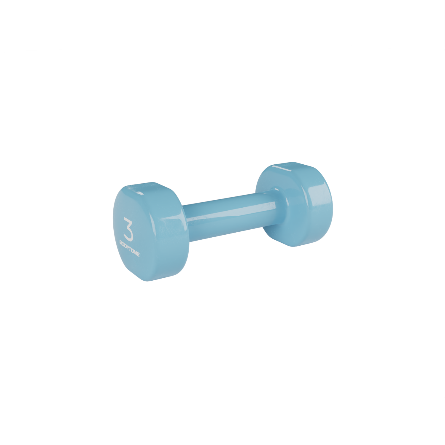 DV3 Vinyl Weights - 2 pcs x 3 Kg