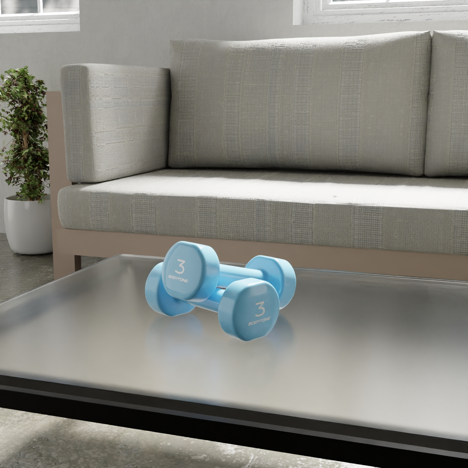 DV3 Vinyl Weights - 2 pcs x 3 Kg