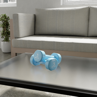 DV3 Vinyl Weights - 2 pcs x 3 Kg