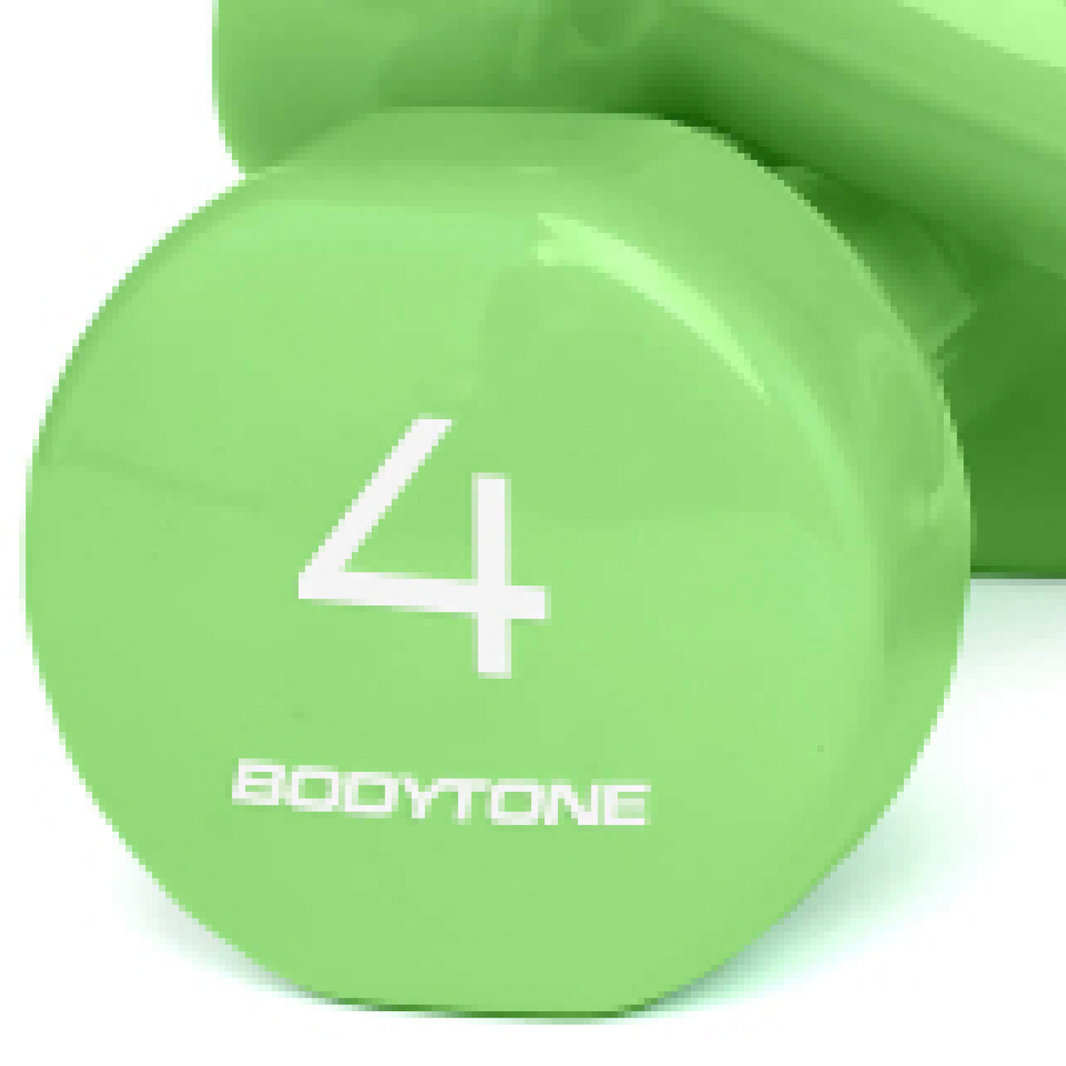 DV4 Vinyl Weights - 2 pcs x 4 Kg