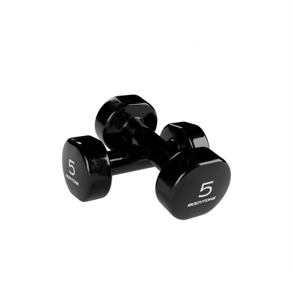 DV5 Vinyl Weights - 2 pcs x 5 Kg