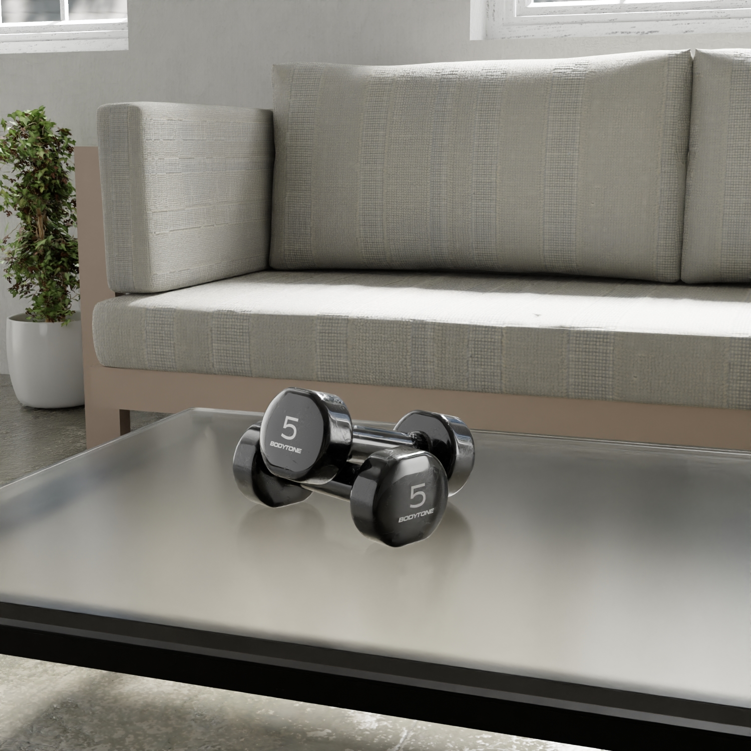 DV5 Vinyl Weights - 2 pcs x 5 Kg