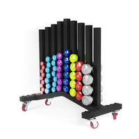 Soporte para mancuernas de vinilo V11