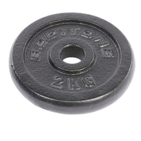 Disco de hierro de 2 KG