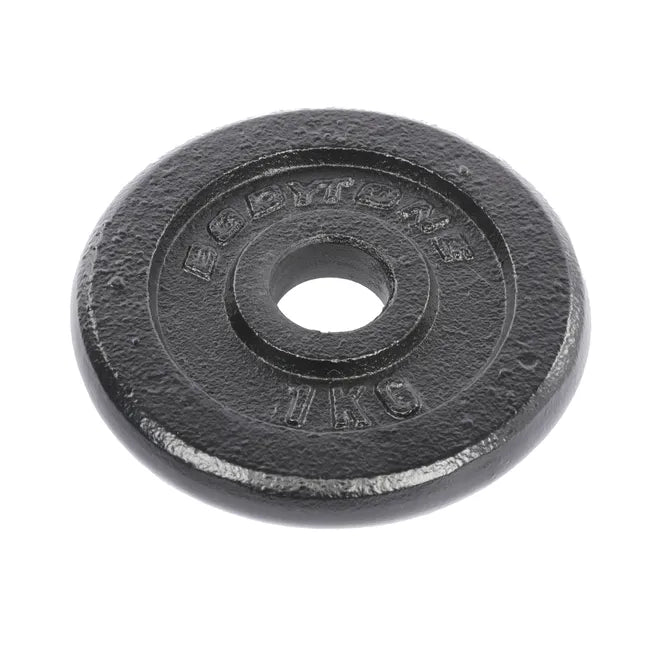 Disco de hierro de 1 KG