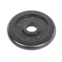 Disco de hierro de 1 KG