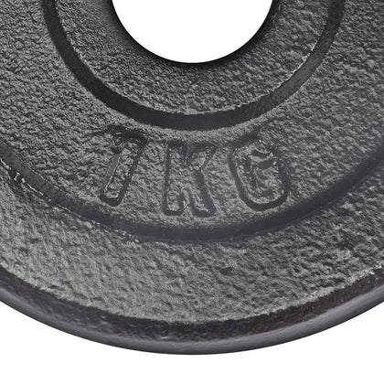 Disco de hierro de 1 KG